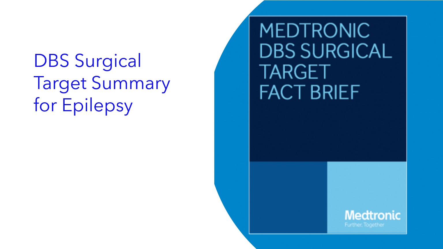 DBS Surgical Target Summary for Epilepsy|Resumen del objetivo quirúrgico de DBS para la epilepsia|Resumo do Alvo Cirúrgico do DBS para Epilepsia